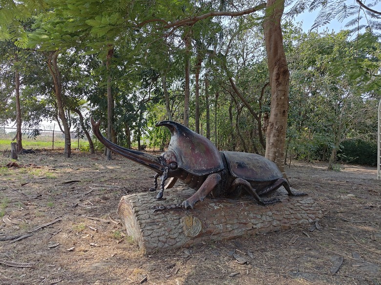 【遊記】彰化有個不輸「臺北大安森林公園」的公園，溪州公園 - 大漠國渡
