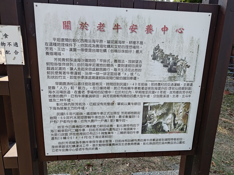 【遊記】彰化有個不輸「臺北大安森林公園」的公園，溪州公園 - 大漠國渡