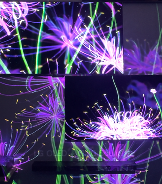 LG OLED 永恆花境藝術展 mix AI藝術家吳哲宇