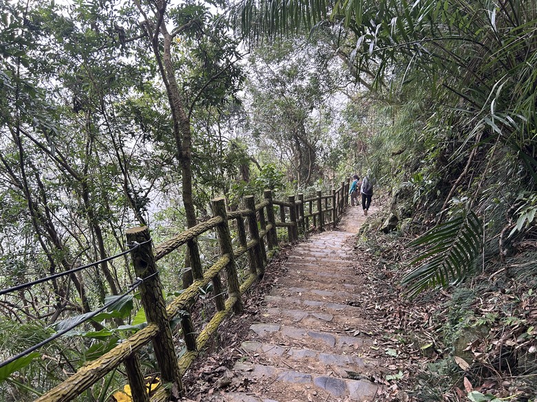 悠然迴旋路-獨立山國家森林步道健行(下)