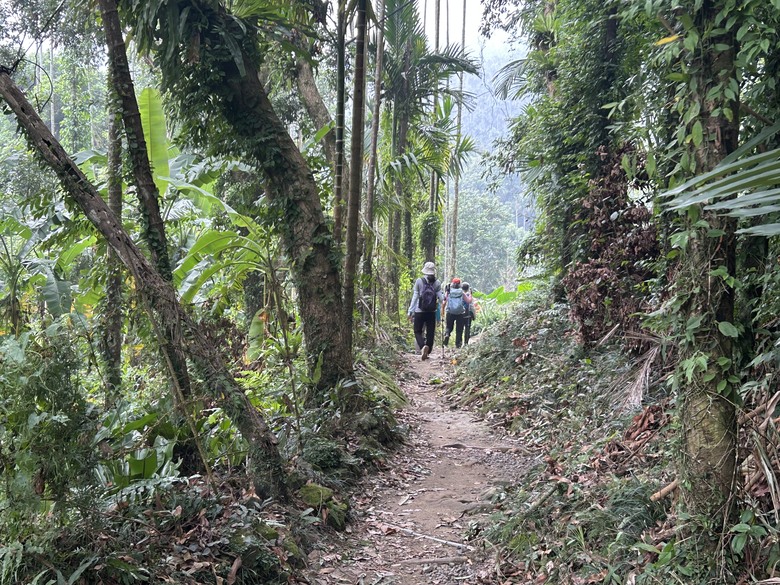 悠然迴旋路-獨立山國家森林步道健行(下)