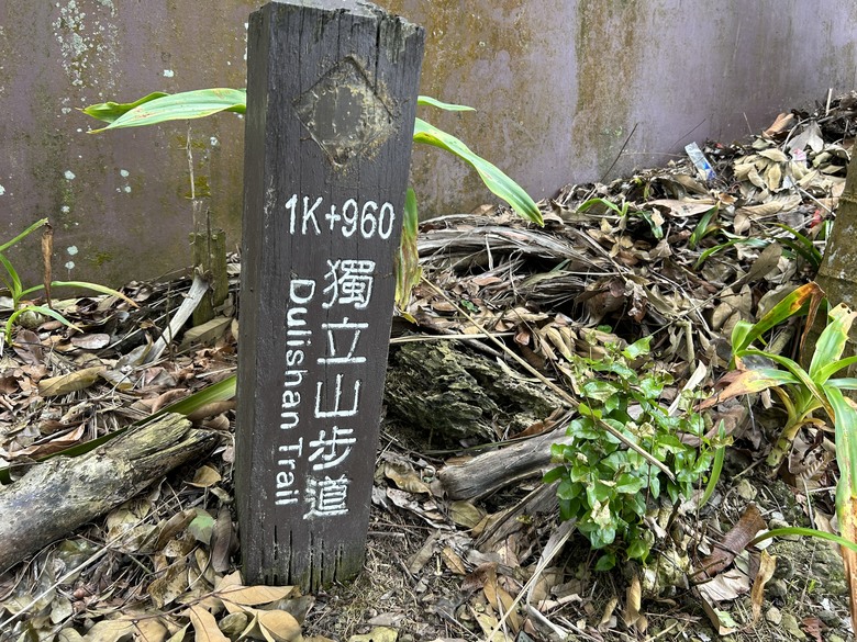 悠然迴旋路-獨立山國家森林步道健行(下)