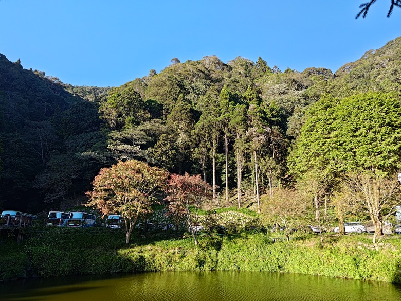 點我看大圖 【遊記】一天欣賞不完的「森林美景」,住宿是更好的選擇,杉林溪森林生態渡假園區 - 大漠國渡