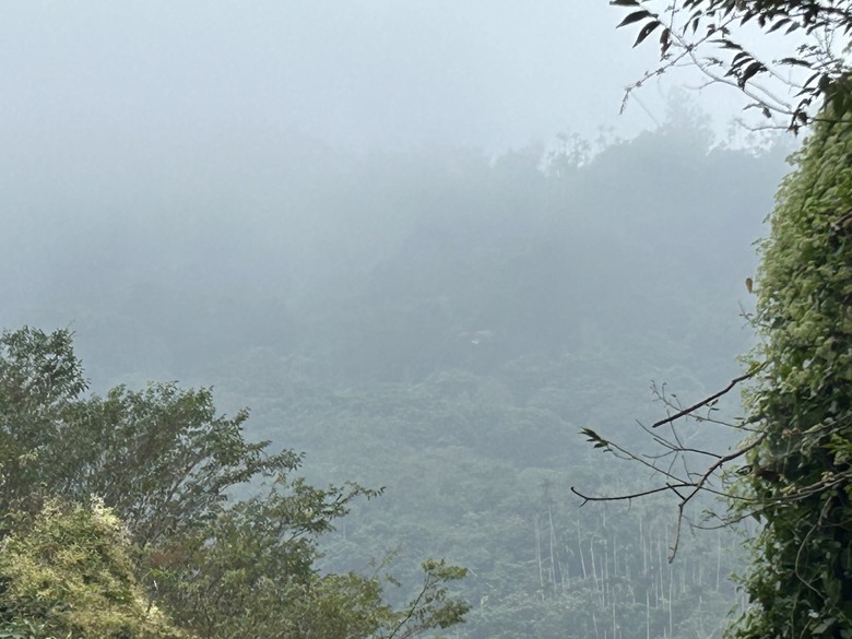 悠然迴旋路-獨立山國家森林步道健行(下)