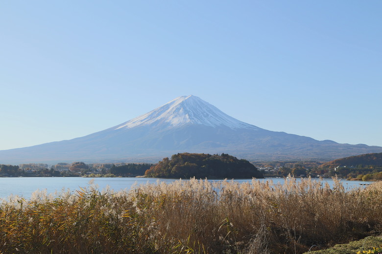 東京 高尾山 河口湖 & 里根場 [富士山] 輕井澤 川越 台場 神宮外苑 渋谷