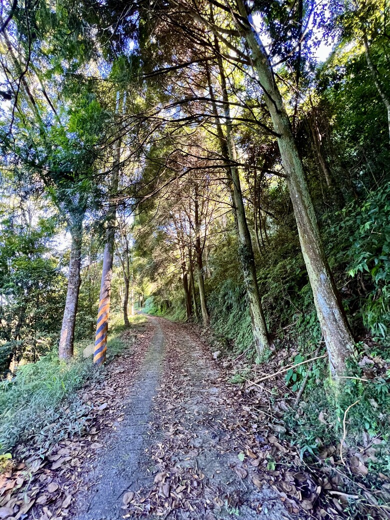 雪山坑林道