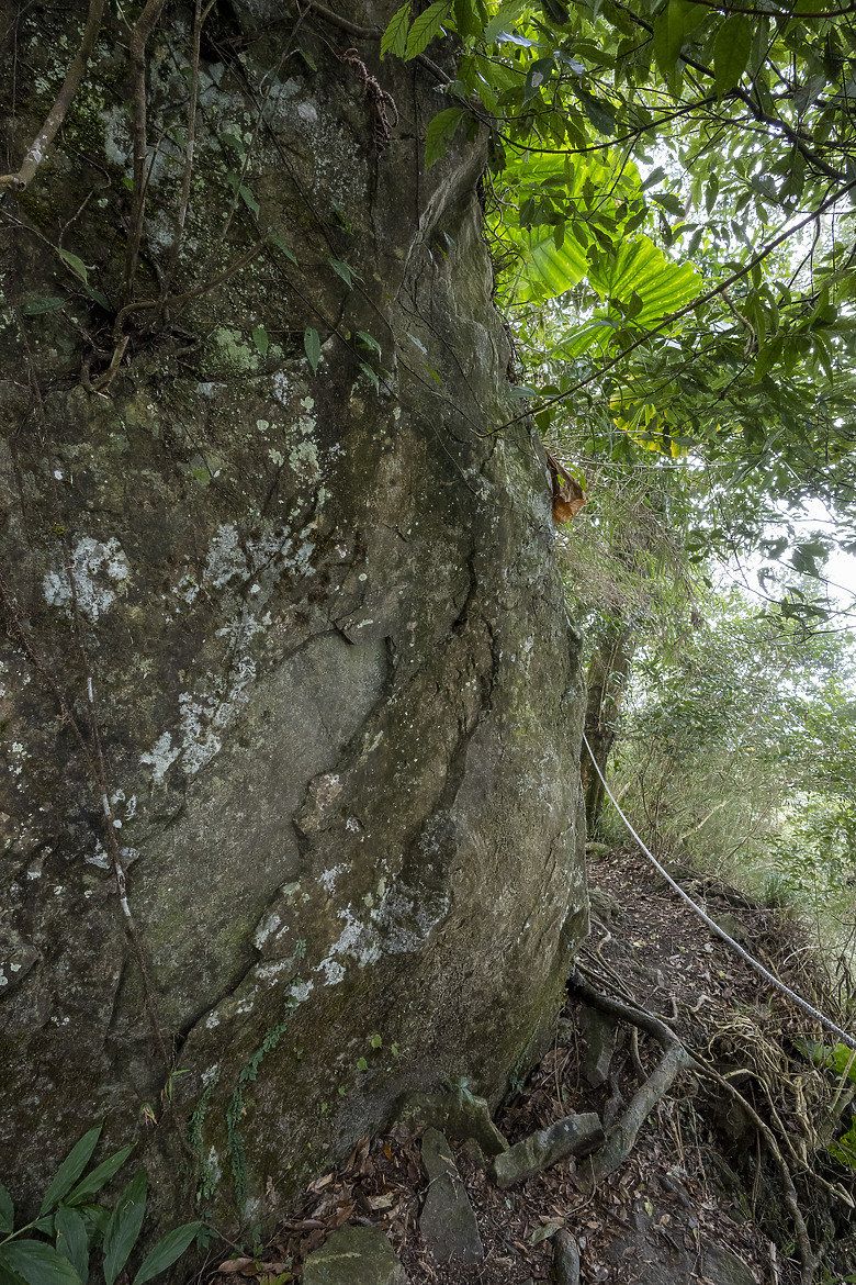 三角南山 一座下山比上山難的小百岳