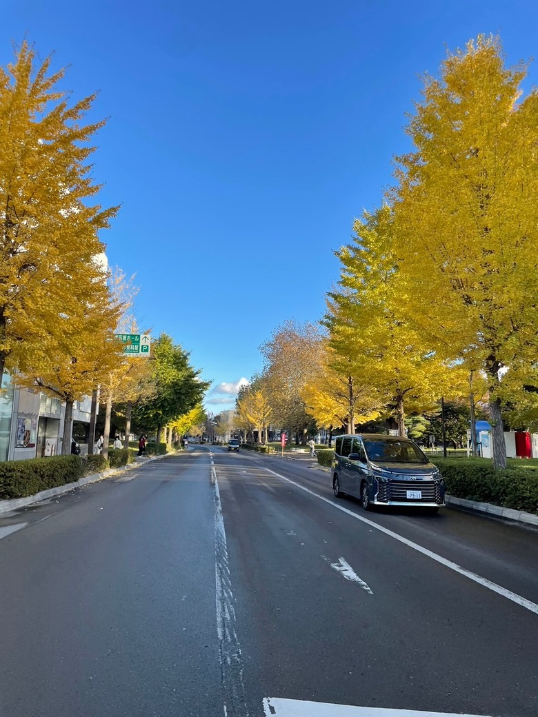 抓住秋日尾巴。北海道之旅