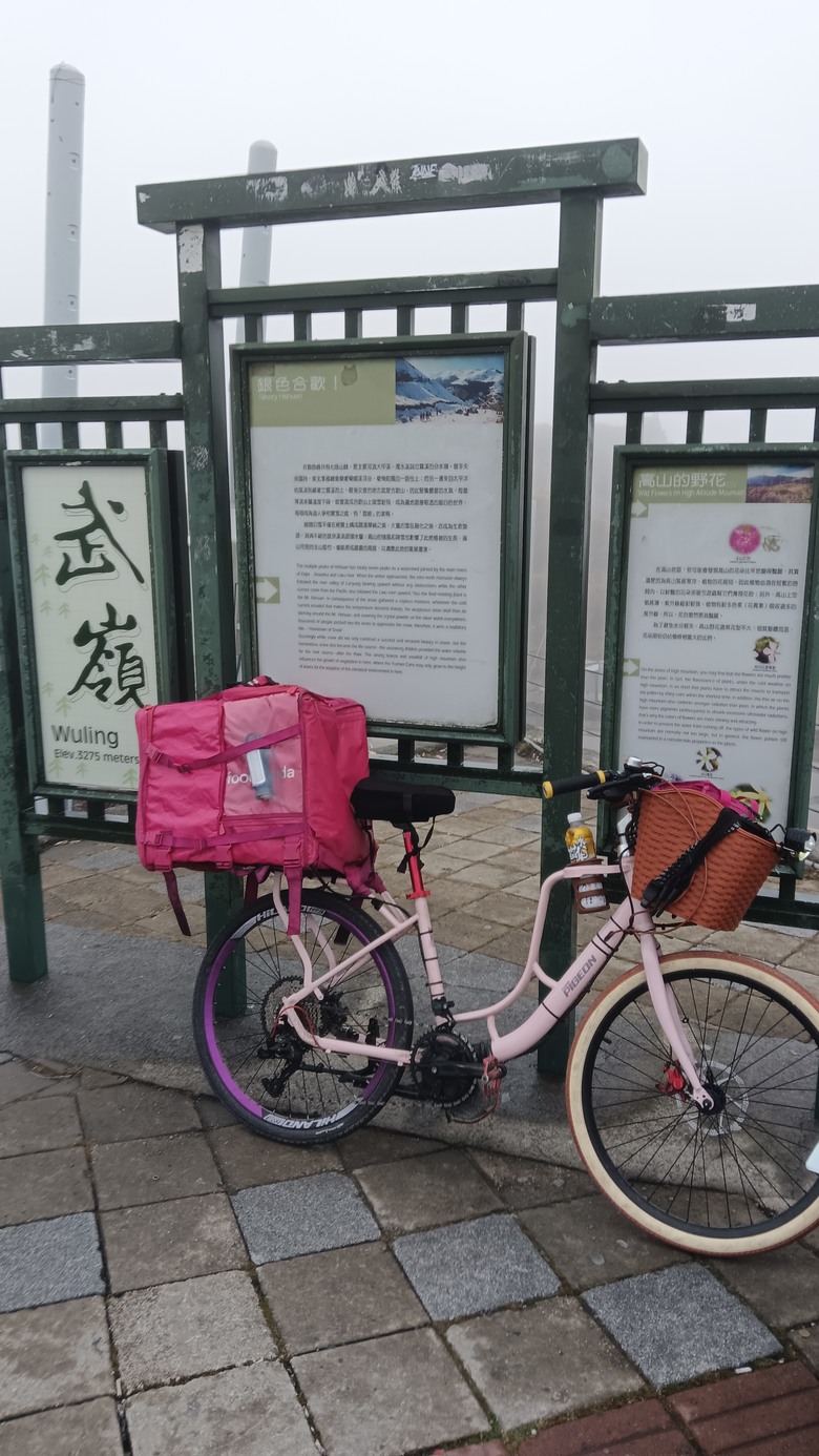 熊貓單車正式實測試員