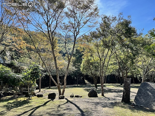 點我看大圖 親子露營|新竹・團圓營地:空間寬敞、環境舒適的美好體驗