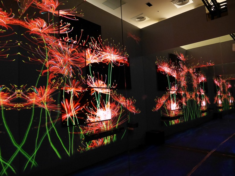 【限定期間體驗】LG OLED 永恆花境藝術展 欣賞藝術家吳哲宇的演算生成藝術影像作品