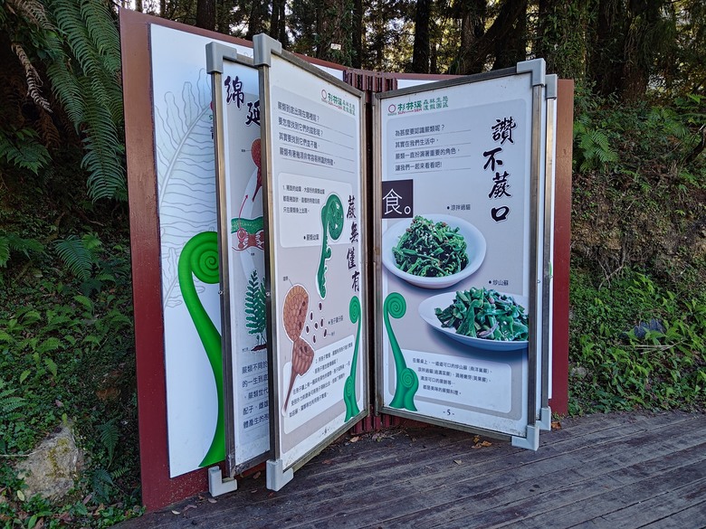 點我看大圖 【遊記】一天欣賞不完的「森林美景」,住宿是更好的選擇,杉林溪森林生態渡假園區 - 大漠國渡