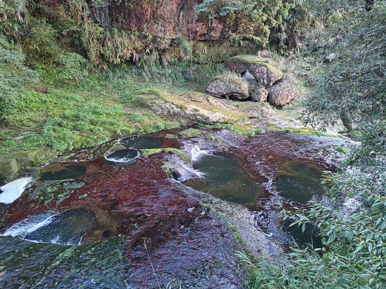 點我看大圖 【遊記】一天欣賞不完的「森林美景」,住宿是更好的選擇,杉林溪森林生態渡假園區 - 大漠國渡