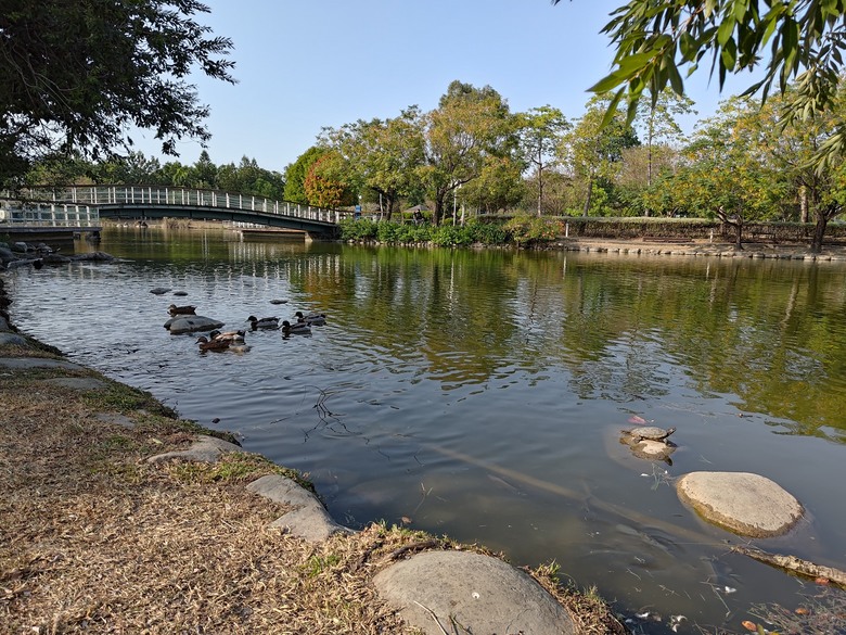 【遊記】第二章，彰化有個不輸「臺北大安森林公園」的公園，溪州公園 (森林區) - 大漠國渡
