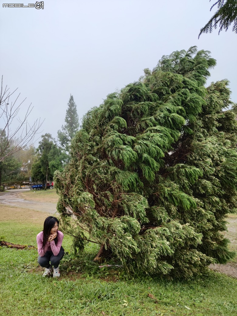 11月颱風後 | 巡田水 | 新竹天湖露營區