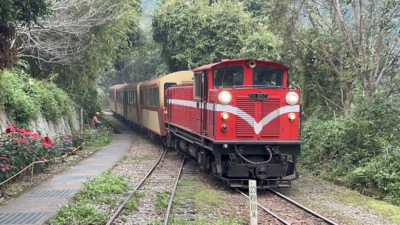 悠然迴旋路-獨立山國家森林步道健行(下)