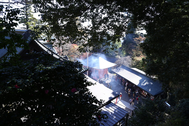 東京 高尾山 河口湖 & 里根場 [富士山] 輕井澤 川越 台場 神宮外苑 渋谷