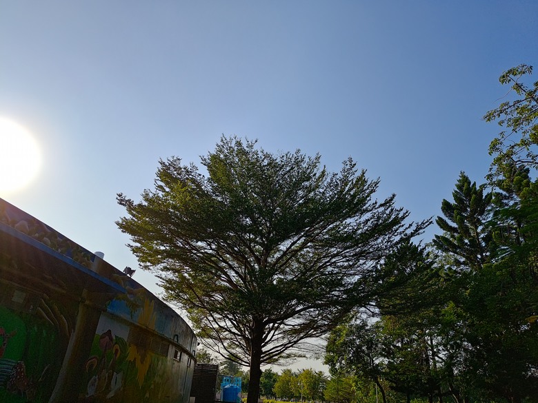 【遊記】第二章，彰化有個不輸「臺北大安森林公園」的公園，溪州公園 (森林區) - 大漠國渡