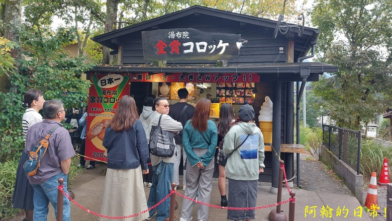 【日本 九州】包車自由行趴趴走 ｜鬼斧神工 高千穗峽｜湖光山色 金鱗湖｜小倉城 太宰府