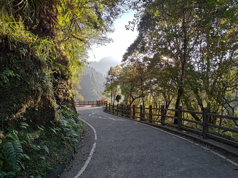 點我看大圖 【遊記】一天欣賞不完的「森林美景」,住宿是更好的選擇,杉林溪森林生態渡假園區 - 大漠國渡