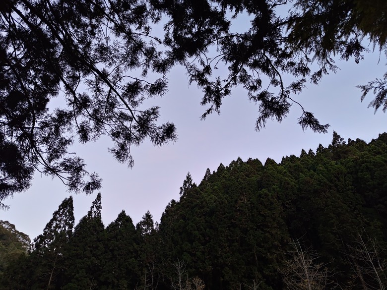 點我看大圖 【遊記】一天欣賞不完的「森林美景」,住宿是更好的選擇,杉林溪森林生態渡假園區 - 大漠國渡