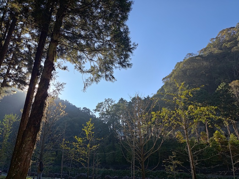 點我看大圖 【遊記】一天欣賞不完的「森林美景」,住宿是更好的選擇,杉林溪森林生態渡假園區 - 大漠國渡