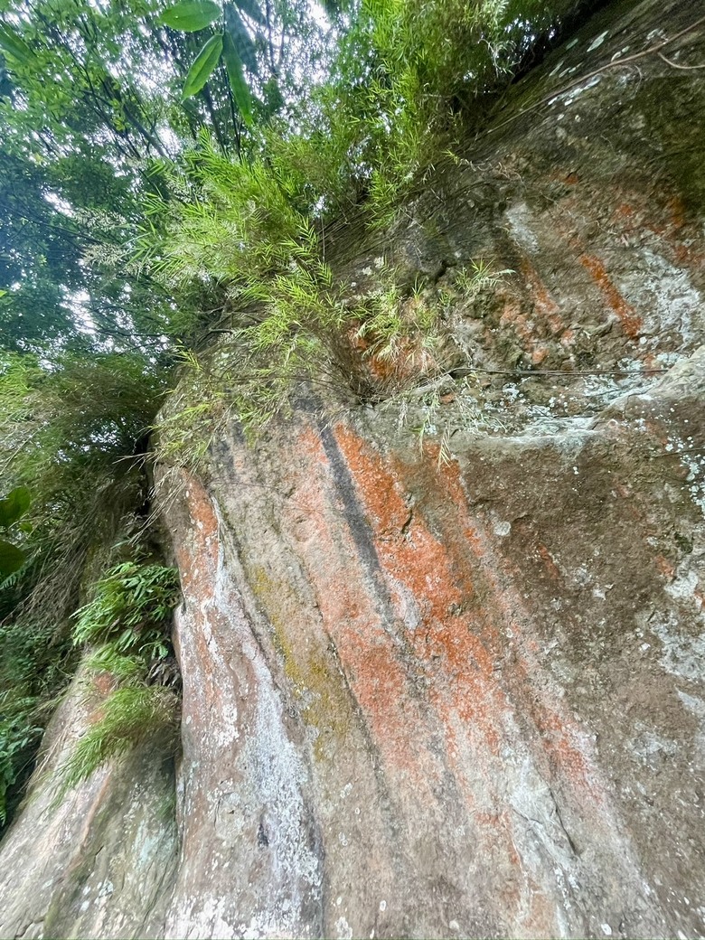 推薦輕鬆舒適健行路線｜新北三峽【鳶山步道】