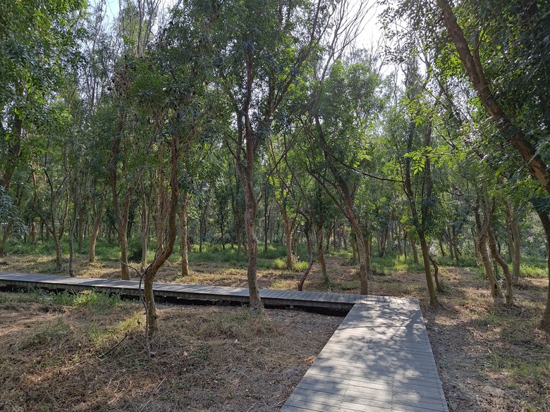 【遊記】第二章，彰化有個不輸「臺北大安森林公園」的公園，溪州公園 (森林區) - 大漠國渡