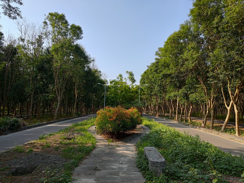 【遊記】第二章，彰化有個不輸「臺北大安森林公園」的公園，溪州公園 (森林區) - 大漠國渡