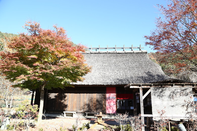 東京 高尾山 河口湖 & 里根場 [富士山] 輕井澤 川越 台場 神宮外苑 渋谷