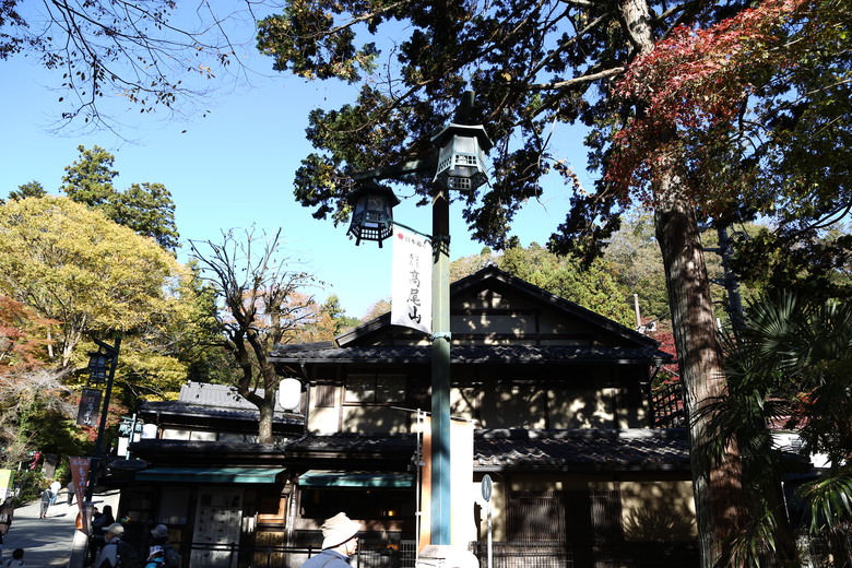 東京 高尾山 河口湖 & 里根場 [富士山] 輕井澤 川越 台場 神宮外苑 渋谷