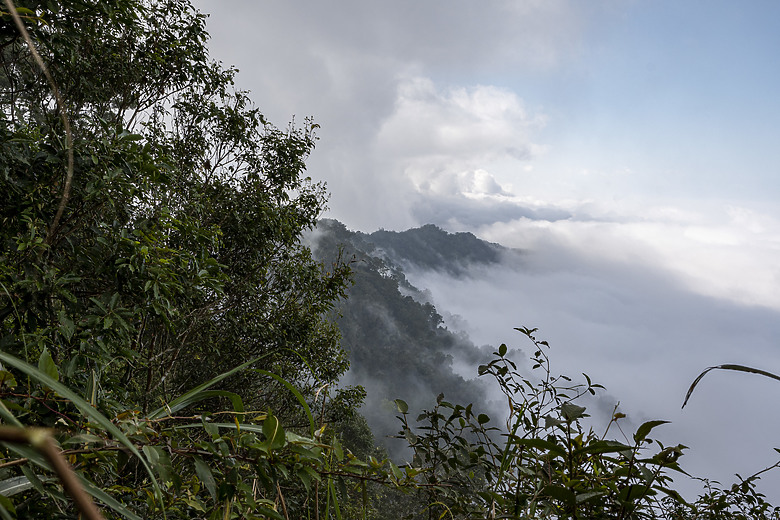三角南山 一座下山比上山難的小百岳
