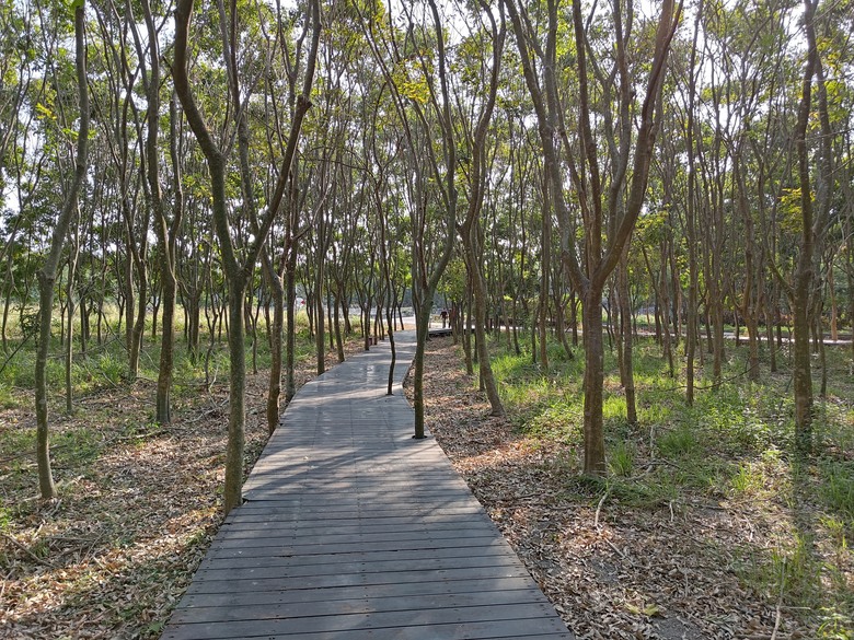 【遊記】第二章，彰化有個不輸「臺北大安森林公園」的公園，溪州公園 (森林區) - 大漠國渡