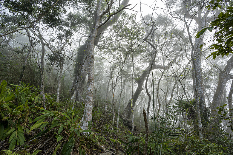 三角南山 一座下山比上山難的小百岳