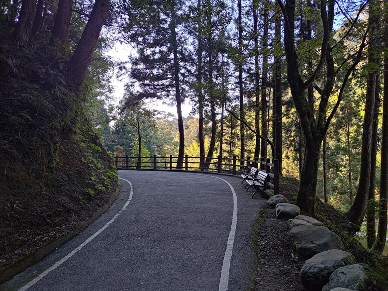 點我看大圖 【遊記】一天欣賞不完的「森林美景」,住宿是更好的選擇,杉林溪森林生態渡假園區 - 大漠國渡