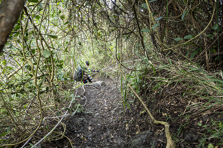 三角南山 一座下山比上山難的小百岳