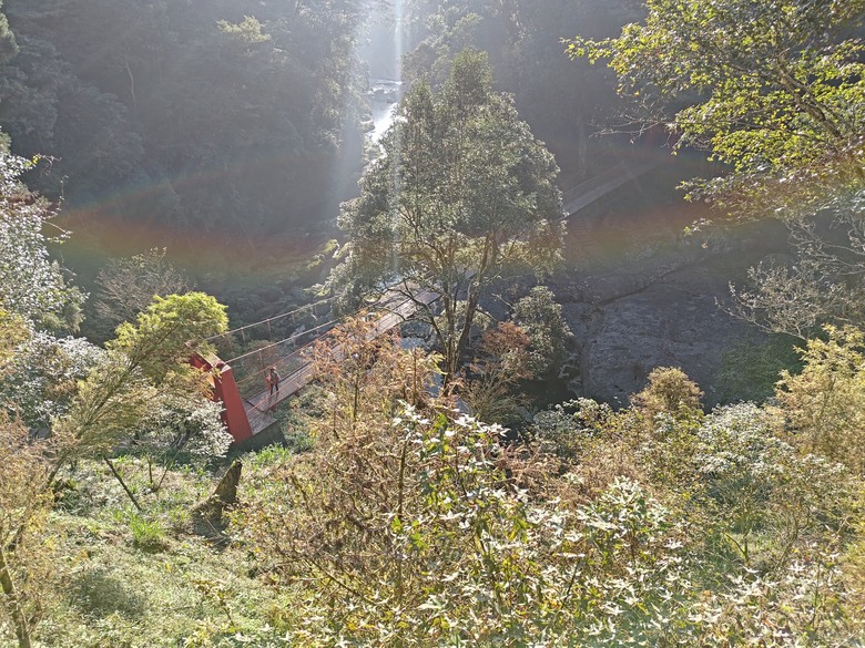點我看大圖 【遊記】一天欣賞不完的「森林美景」,住宿是更好的選擇,杉林溪森林生態渡假園區 - 大漠國渡