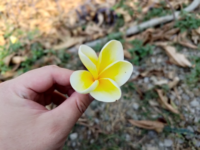 【遊記】彰化有個不輸「臺北大安森林公園」的公園，溪州公園 - 大漠國渡