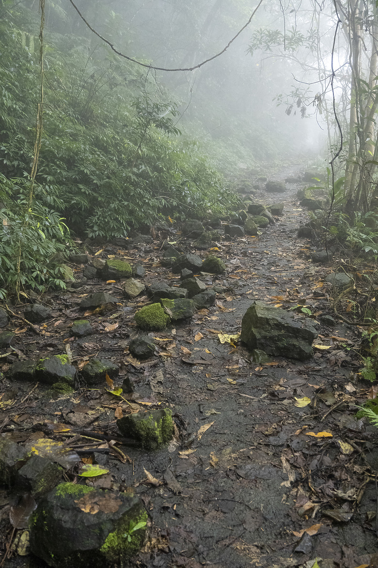 三角南山 一座下山比上山難的小百岳