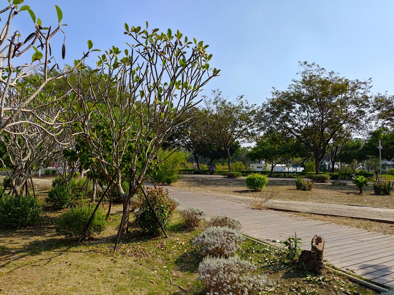 【遊記】彰化有個不輸「臺北大安森林公園」的公園，溪州公園 - 大漠國渡