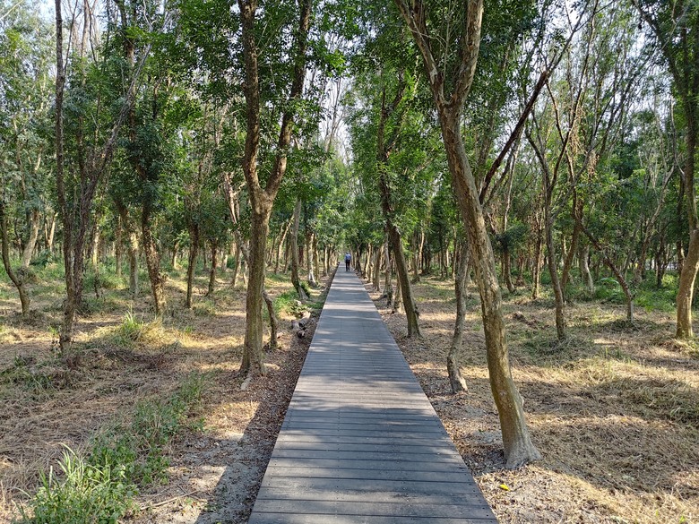 【遊記】第二章，彰化有個不輸「臺北大安森林公園」的公園，溪州公園 (森林區) - 大漠國渡