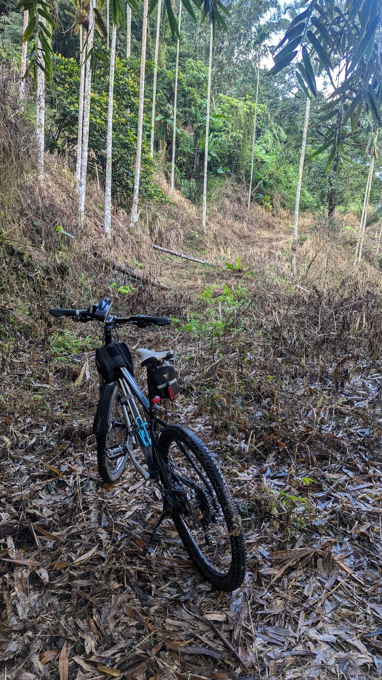 桶頭=>日落頭=>1314景觀台=>倒交山林道=>碧湖村=>樟湖