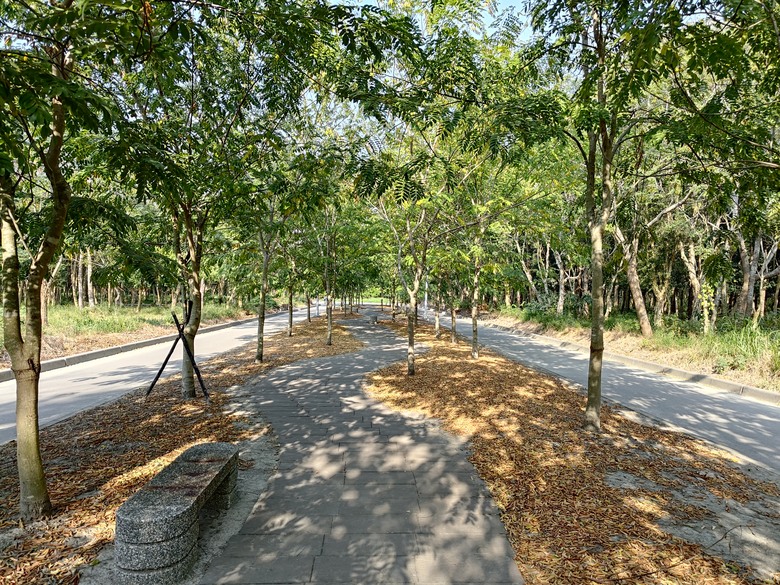 【遊記】第二章，彰化有個不輸「臺北大安森林公園」的公園，溪州公園 (森林區) - 大漠國渡