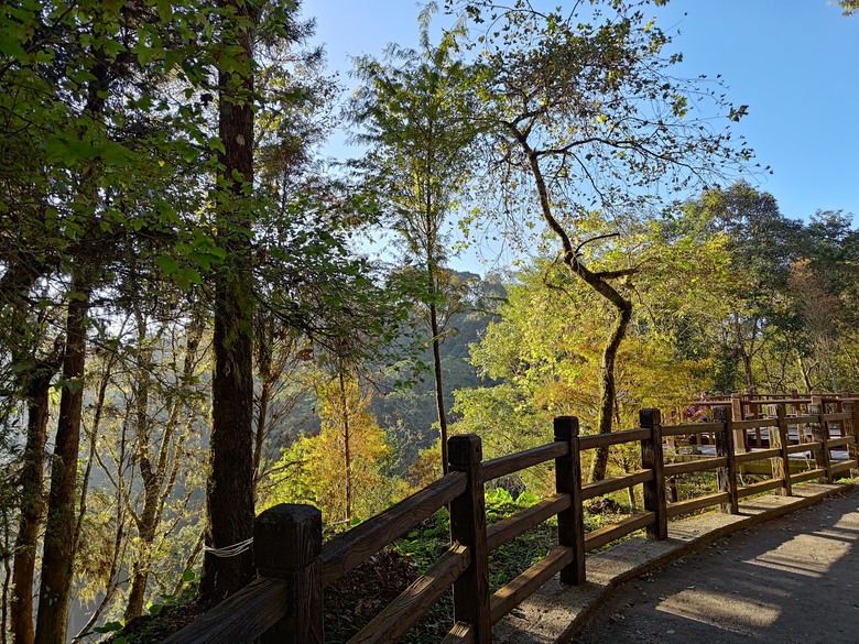 點我看大圖 【遊記】一天欣賞不完的「森林美景」,住宿是更好的選擇,杉林溪森林生態渡假園區 - 大漠國渡