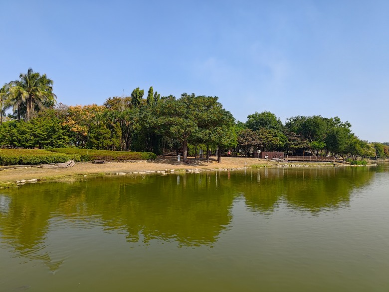【遊記】彰化有個不輸「臺北大安森林公園」的公園，溪州公園 - 大漠國渡