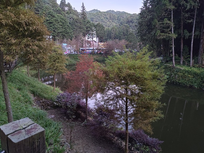 點我看大圖 【遊記】一天欣賞不完的「森林美景」,住宿是更好的選擇,杉林溪森林生態渡假園區 - 大漠國渡