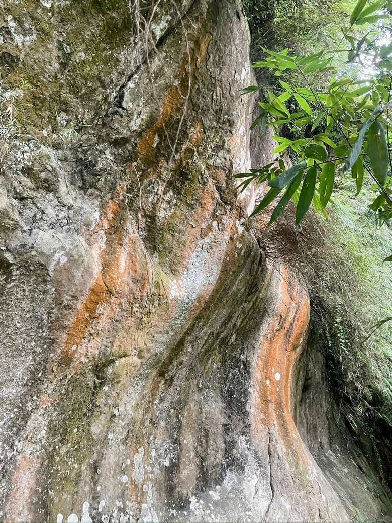 推薦輕鬆舒適健行路線｜新北三峽【鳶山步道】