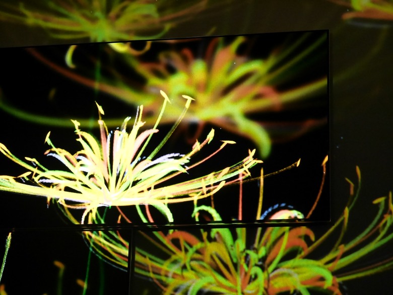 【限定期間體驗】LG OLED 永恆花境藝術展 欣賞藝術家吳哲宇的演算生成藝術影像作品