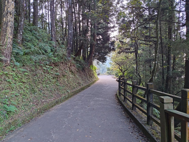 點我看大圖 【遊記】一天欣賞不完的「森林美景」,住宿是更好的選擇,杉林溪森林生態渡假園區 - 大漠國渡