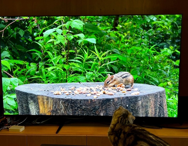 尺寸跟畫質間的完美答案 - BRAVIA 7開箱
